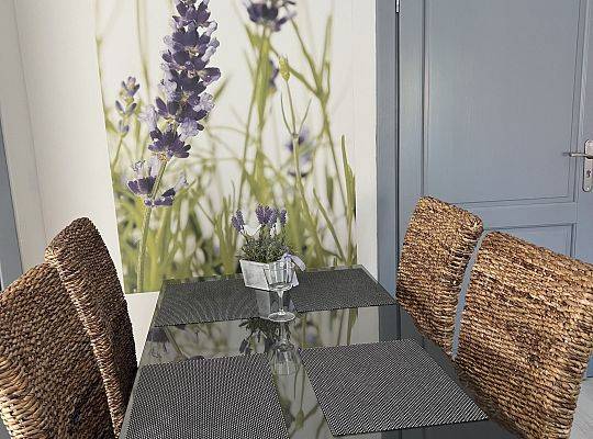 Domki czy pokoje – co wybrać na urlop w Ostoi Dębki?