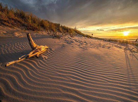 Noclegi w Dębkach – domki i pokoje blisko plaży w Ostoi Dębki